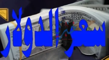 تحديثات الصرف.. سعر الدولار يسجل أرقاماً جديدة في البنوك خلال تعاملات الخميس